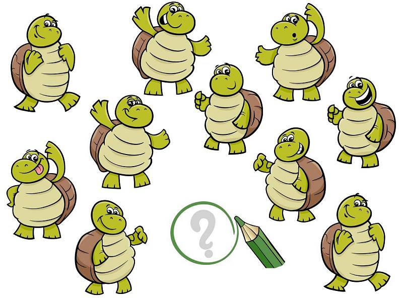 Najděte dvě stejné želvy.