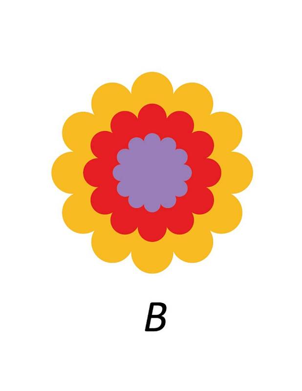 Chybějící květina se skrývá pod písmenem B.