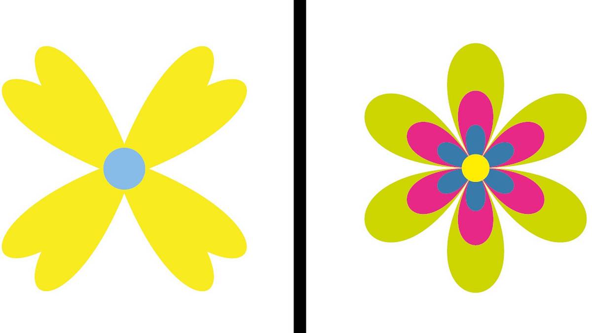 Květinový IQ test: Doplňte do tabulky správný květ